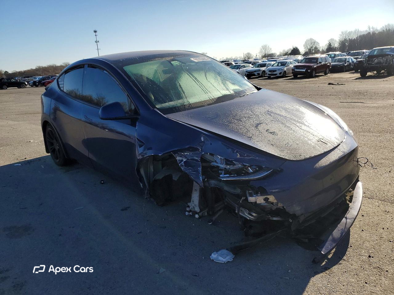 Tesla Model Y 2021