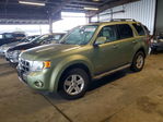 Ford Escape 2008