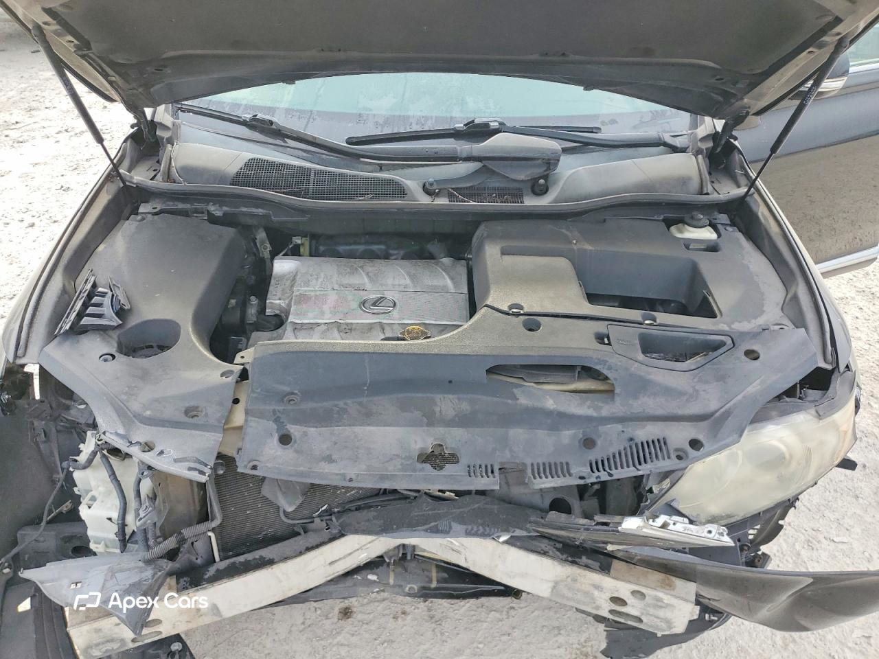 Lexus RX 2010