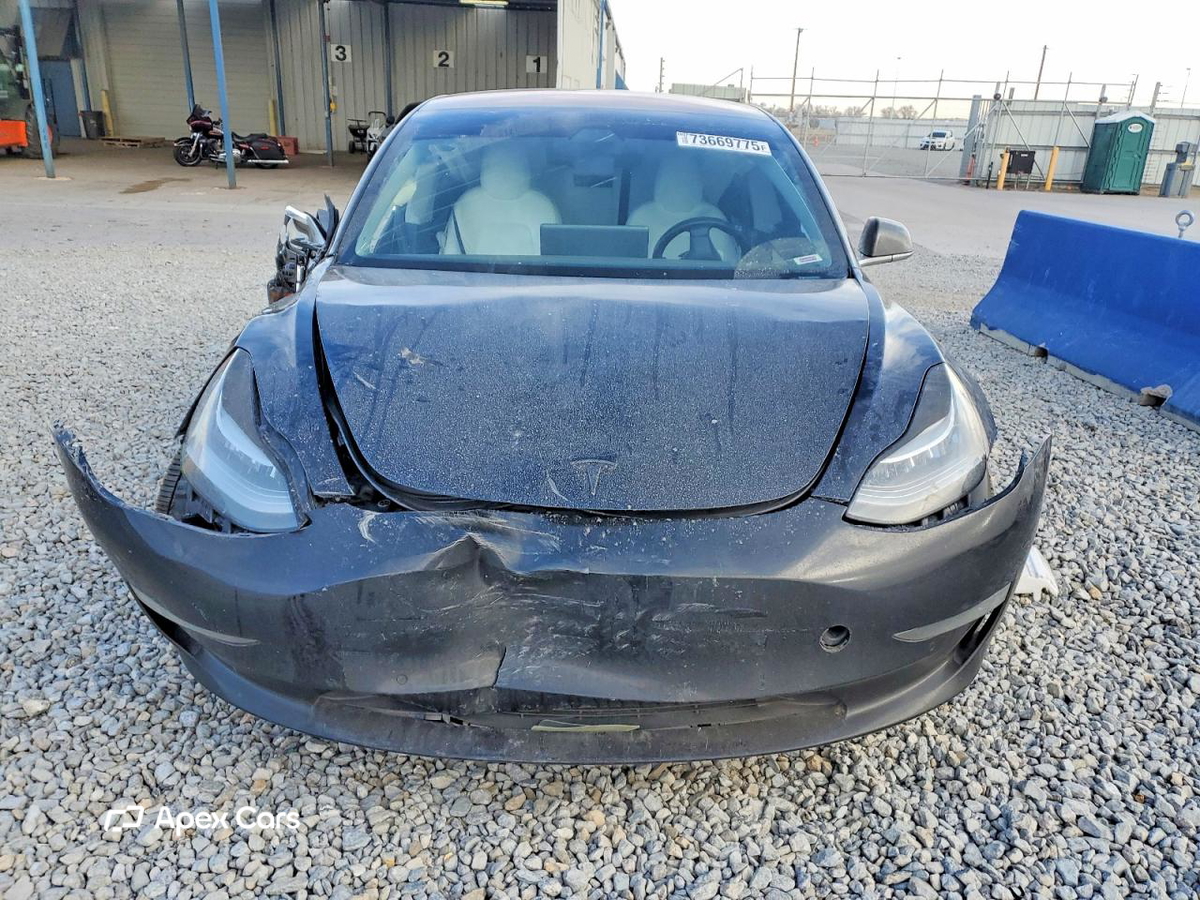 Tesla Model 3 2019