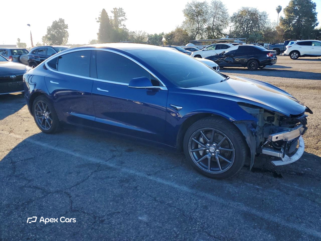 Tesla Model 3 2019