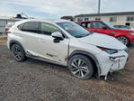 Lexus NX 2019