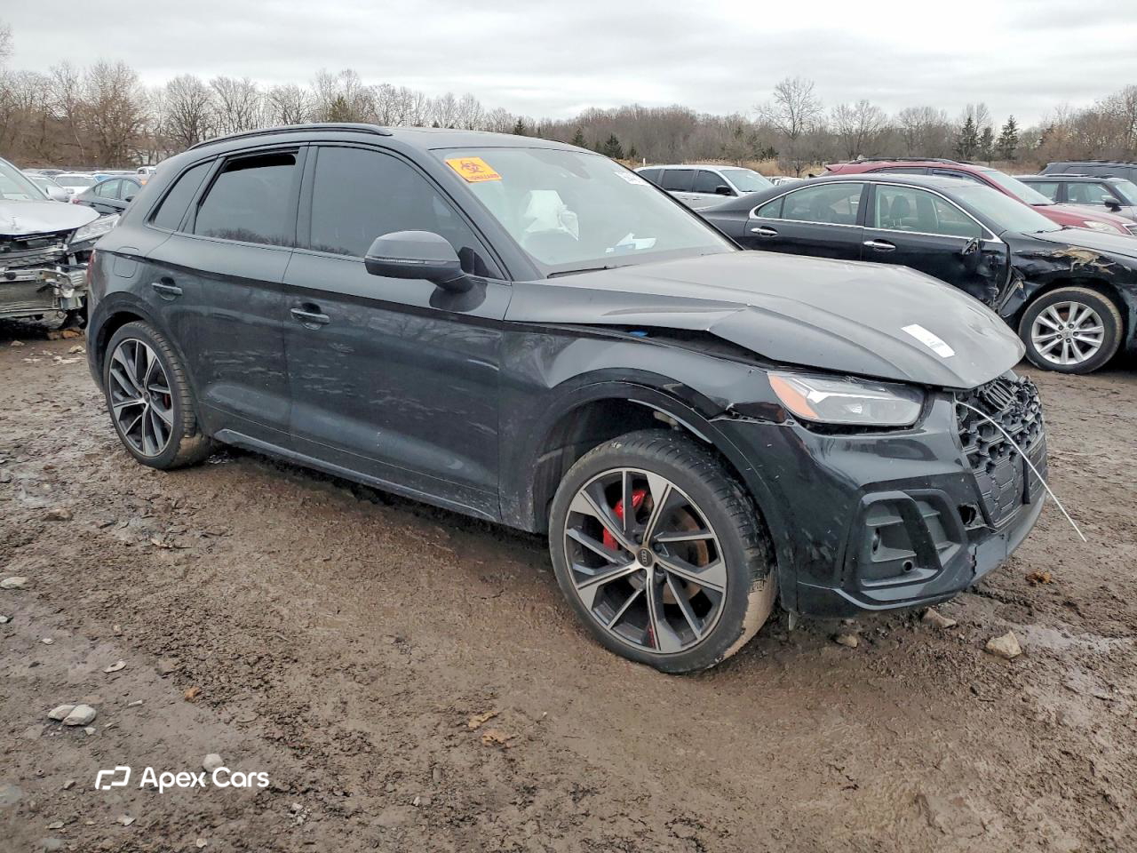 Audi SQ5 2023