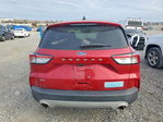 Ford Escape 2021