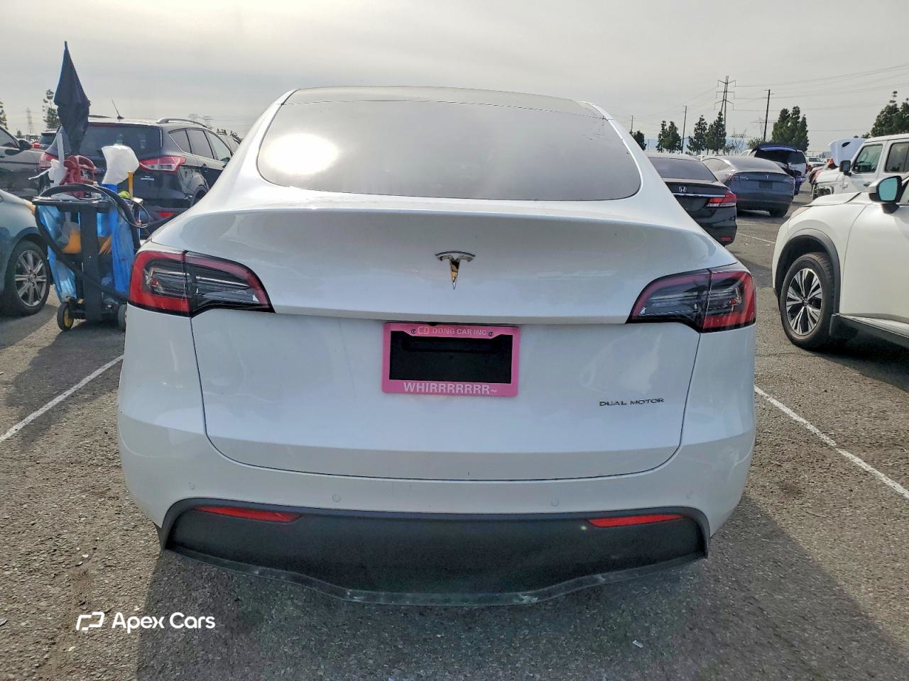 Tesla Model Y 2020