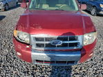 Ford Escape 2012