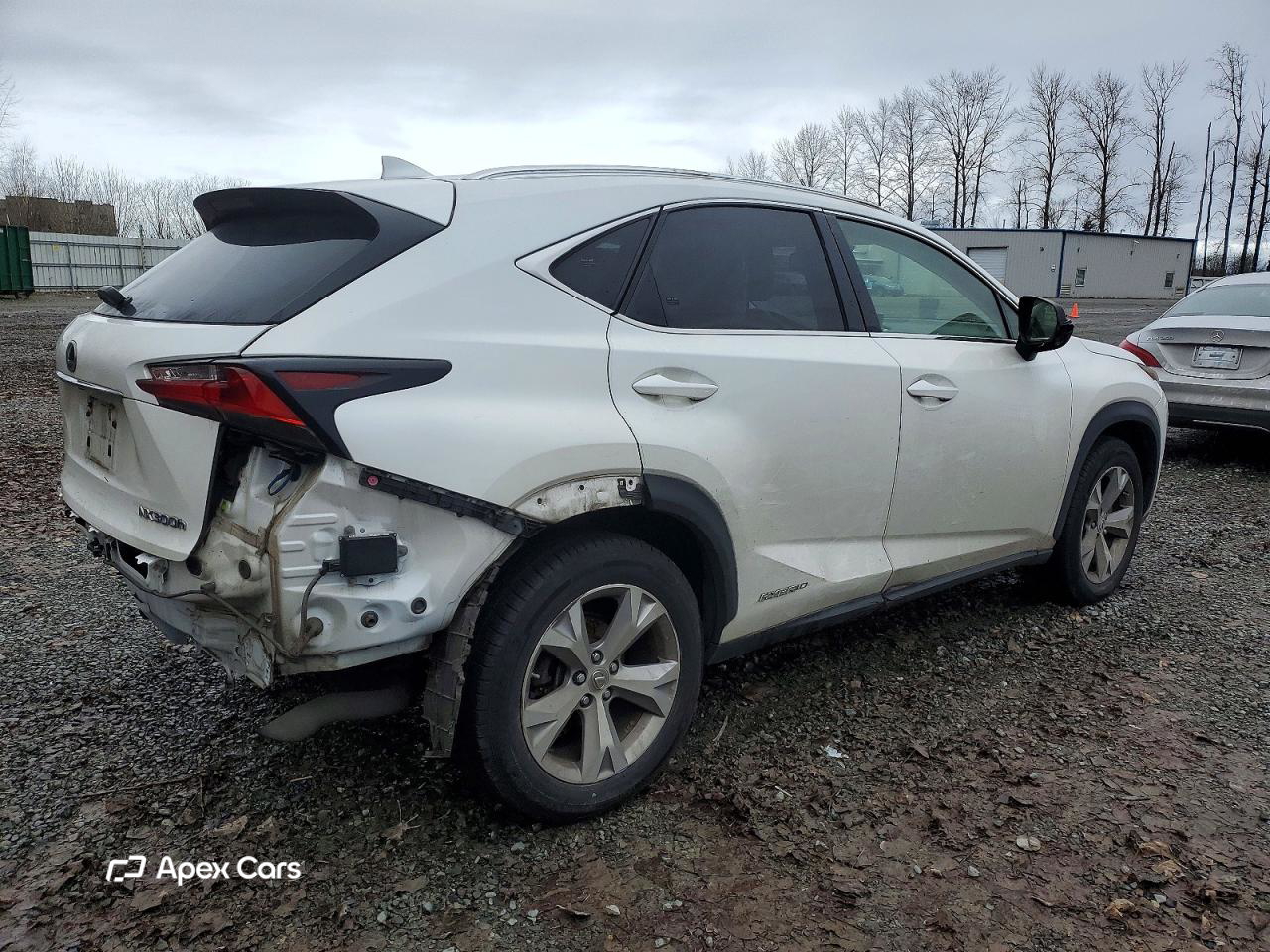 Lexus NX 2017