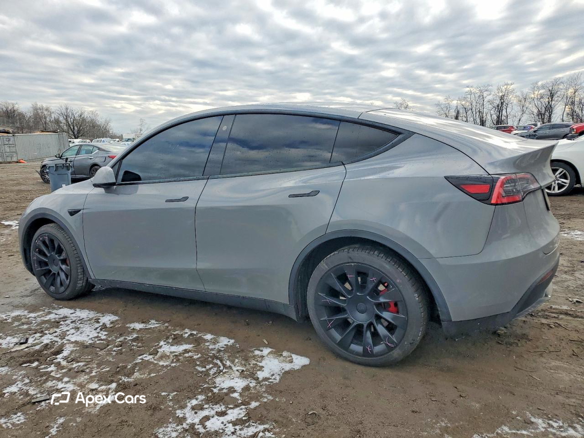 Tesla Model Y 2021