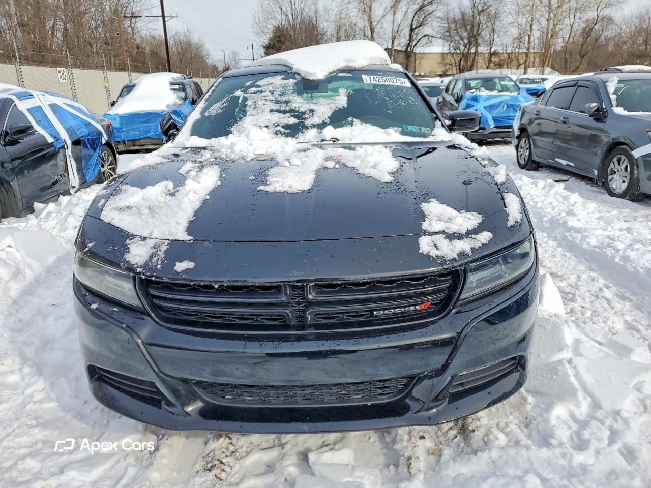Dodge Charger 2021