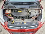 Ford Escape 2014