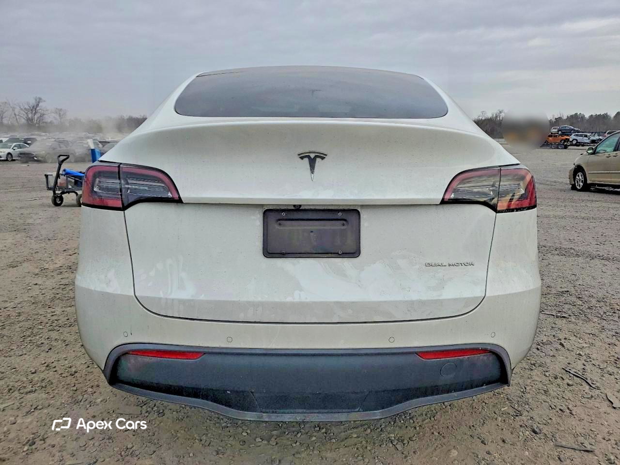 Tesla Model Y 2020