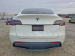 Tesla Model Y 2020