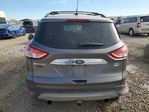 Ford Escape 2013