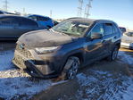Toyota RAV 4 2024