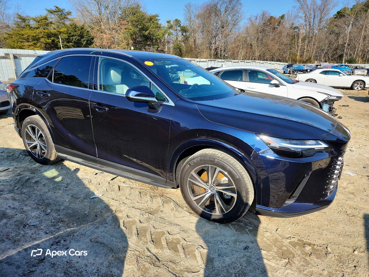 Lexus RX 2025