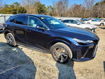 Lexus RX 2025