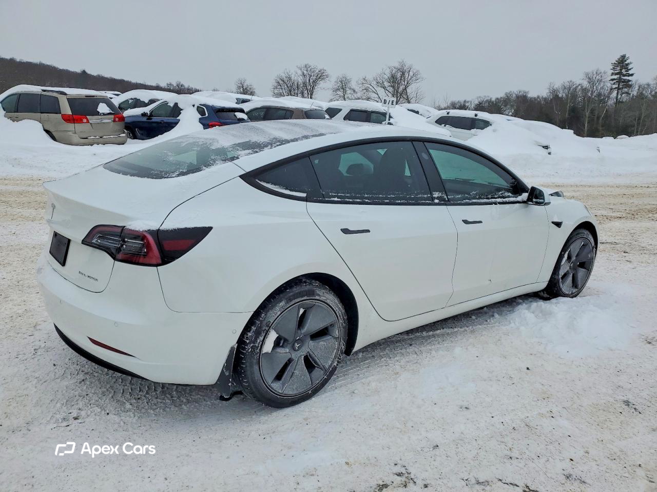 Tesla Model 3 2022