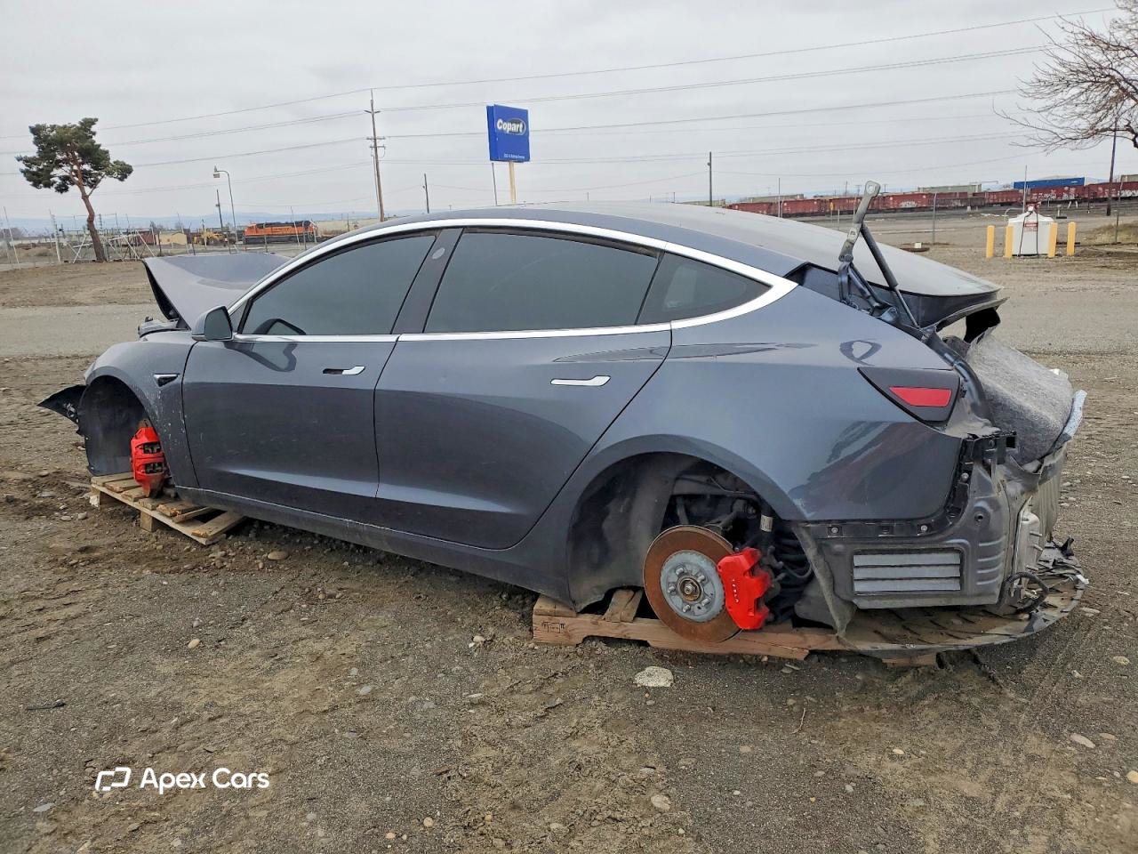 Tesla Model 3 2019