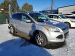 Ford Escape 2013