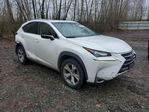 Lexus NX 2017