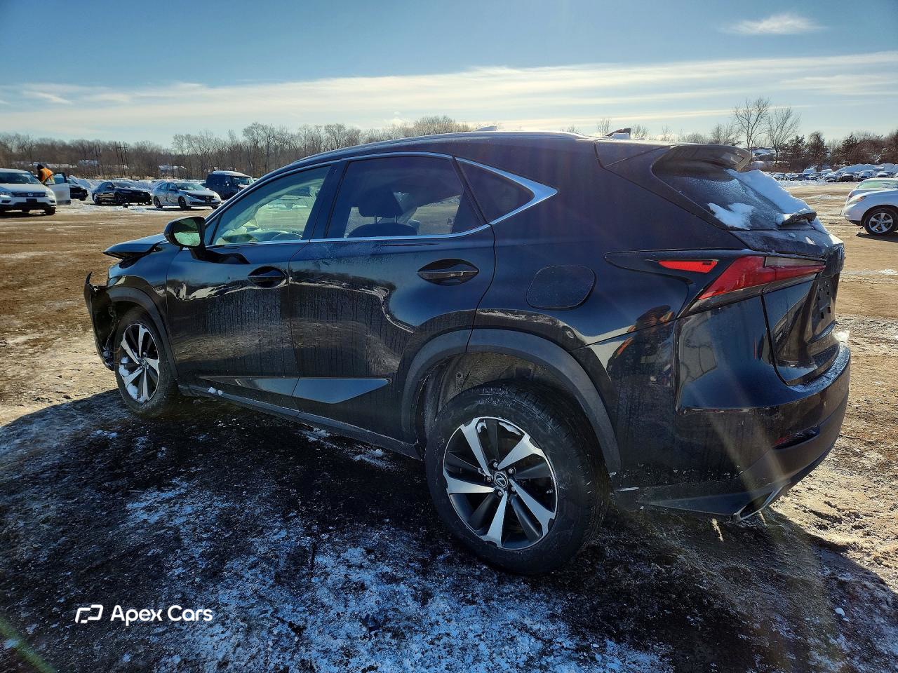 Lexus NX 2019