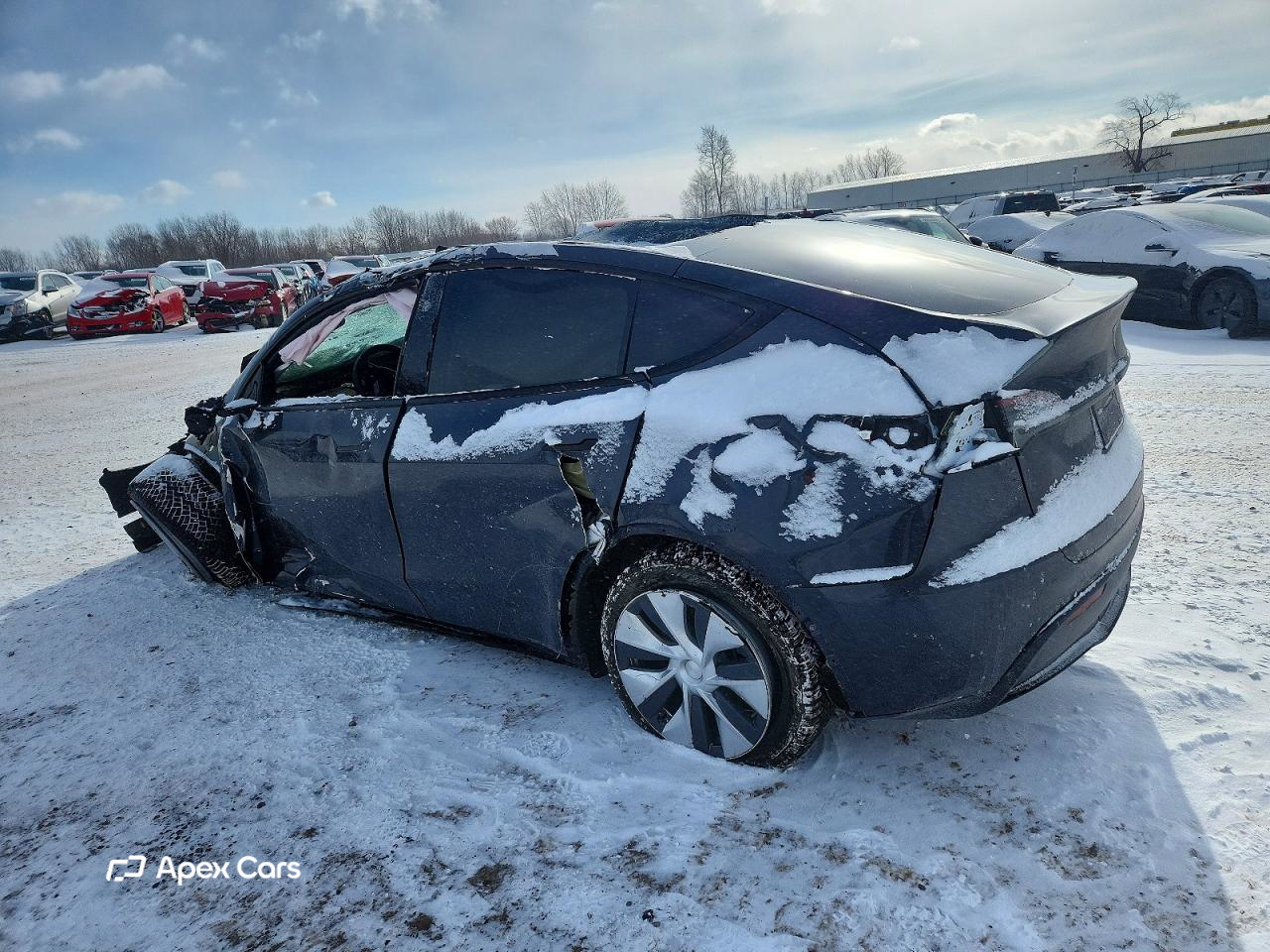 Tesla Model Y 2024