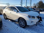 Lexus RX 2014