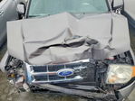 Ford Escape 2010