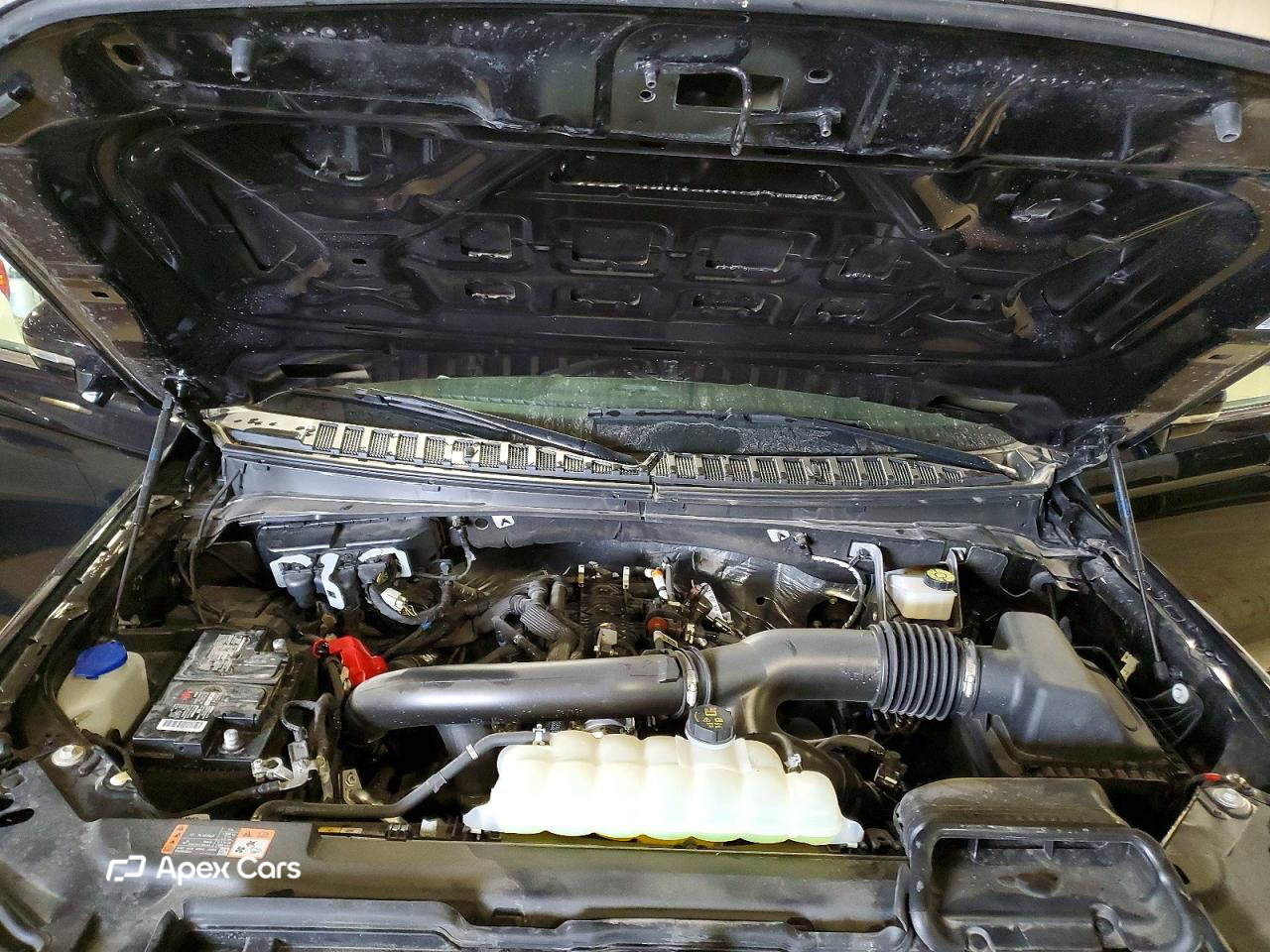 Ford Expedition 2024