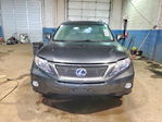 Lexus RX 2010