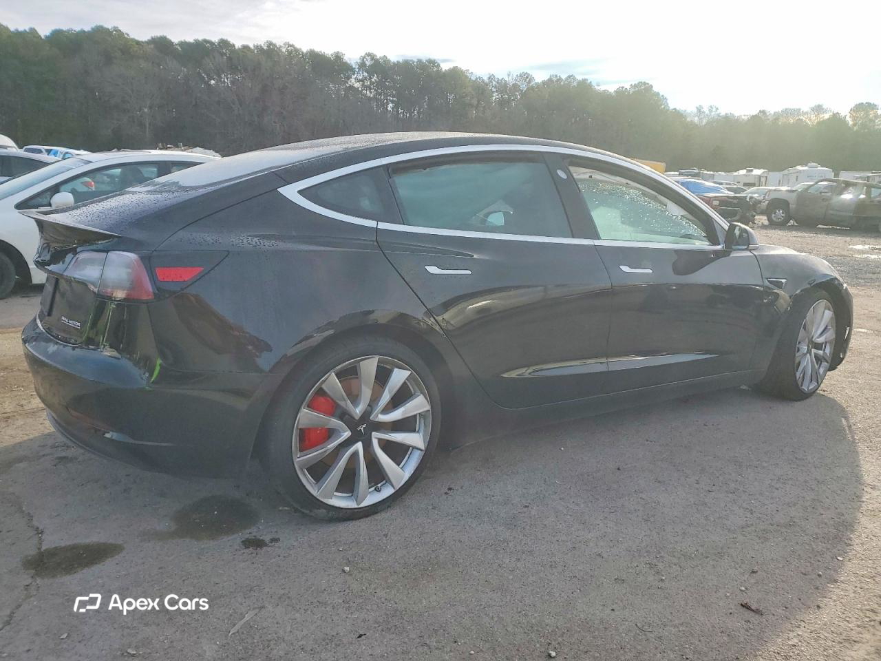 Tesla Model 3 2019