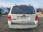 Ford Escape 2011