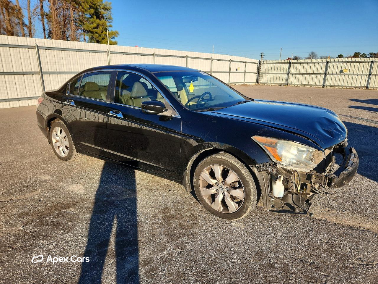 Honda Accord 2010
