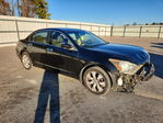 Honda Accord 2010