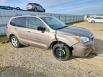 Subaru Forester 2016