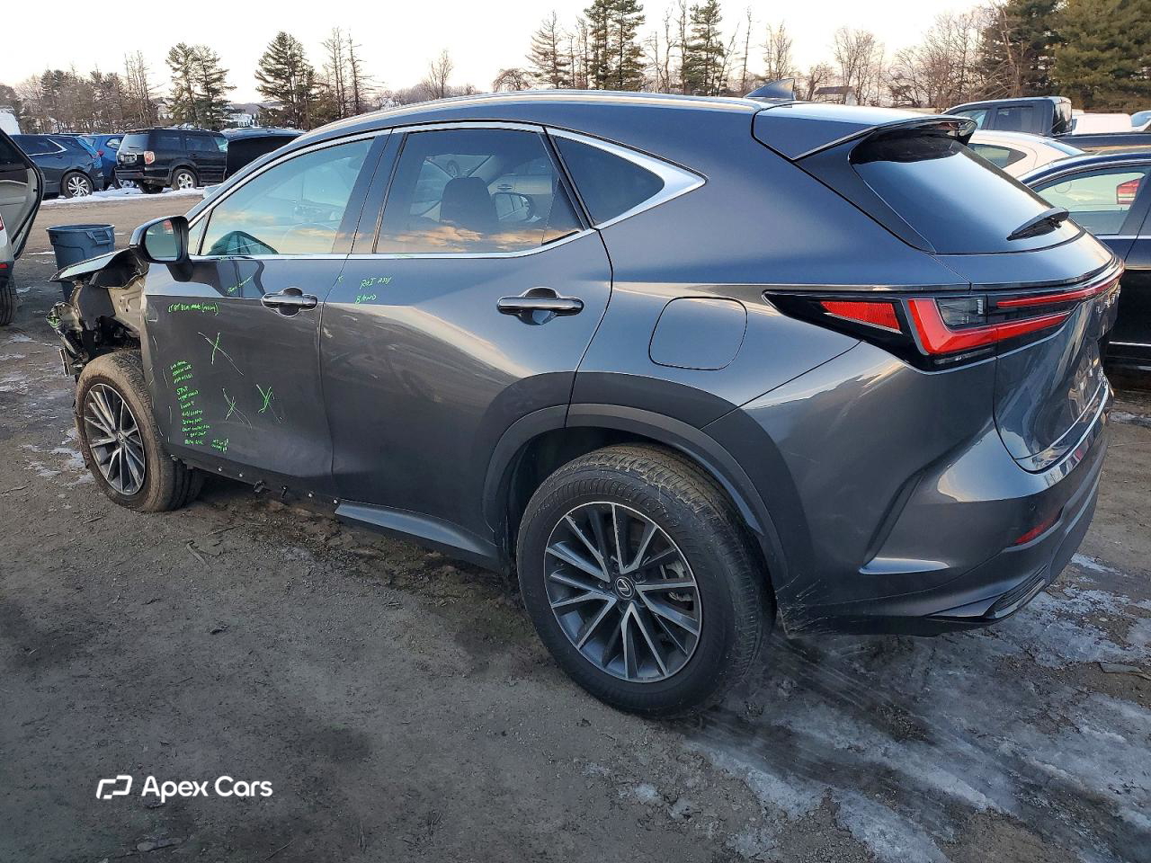 Lexus NX 2024