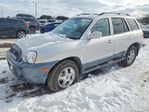 Hyundai Santa Fe 2004