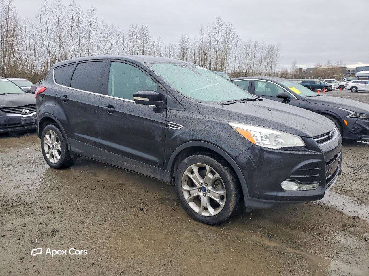 Ford Escape 2013