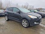 Ford Escape 2013