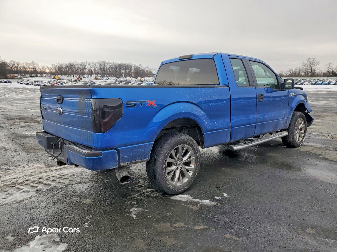 Ford F-150 2010