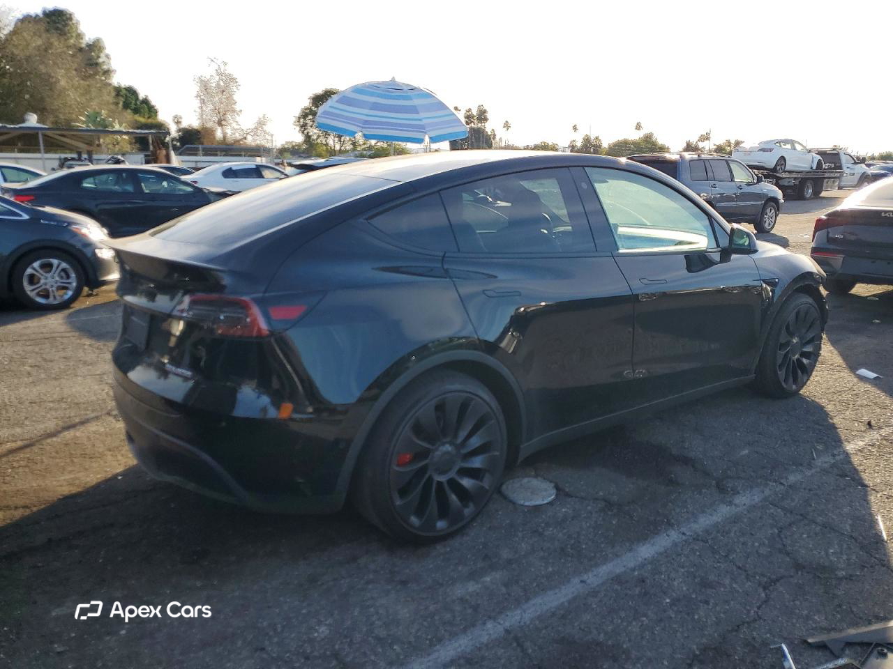 Tesla Model Y 2022