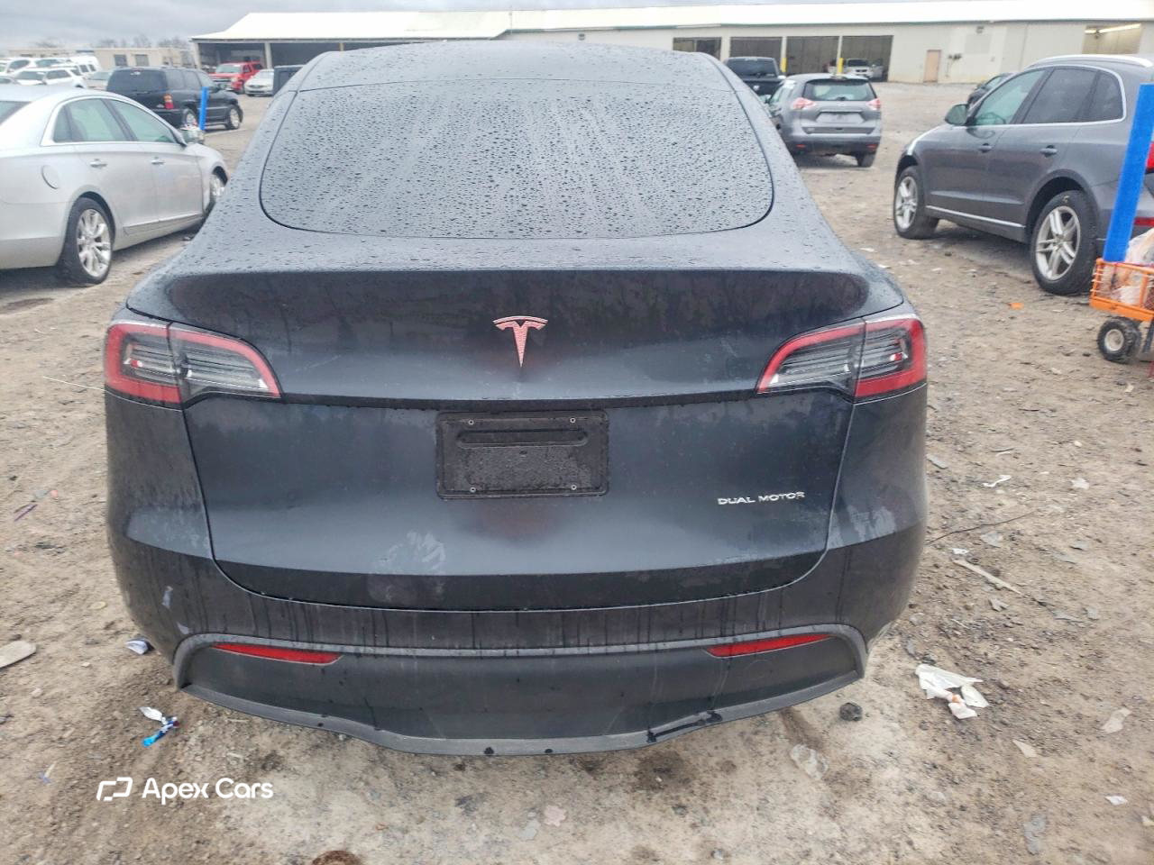 Tesla Model Y 2024
