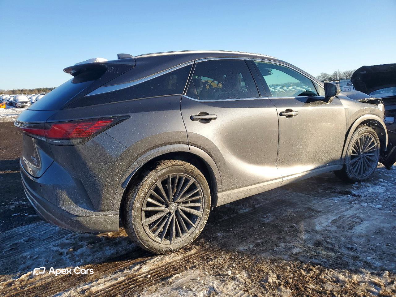 Lexus RX 2024