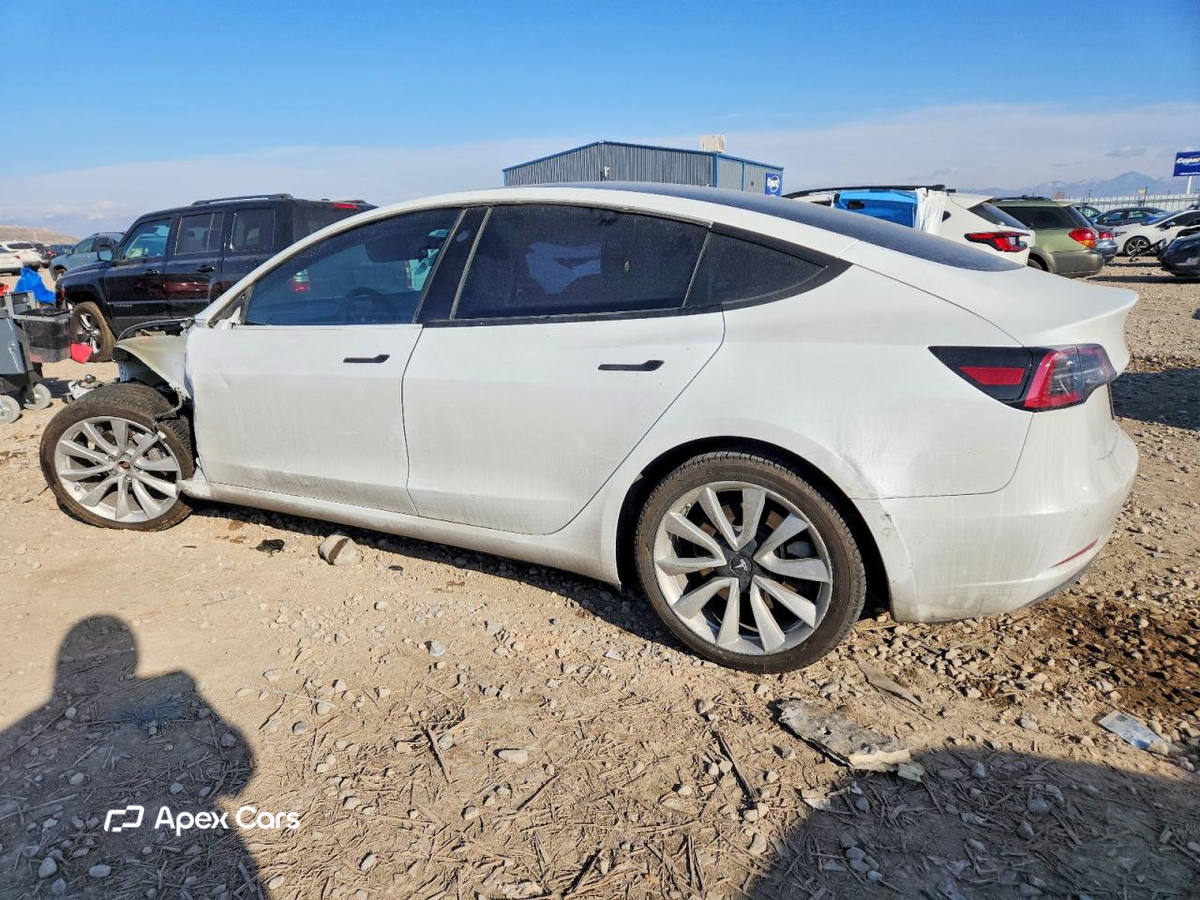 Tesla Model 3 2019