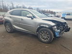 Lexus NX 2020
