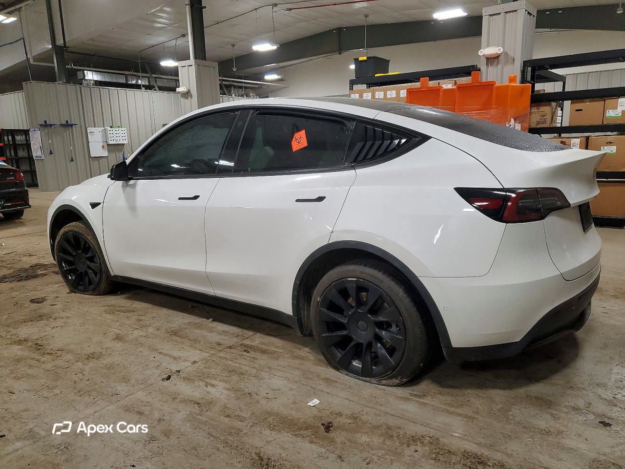 Tesla Model Y 2021