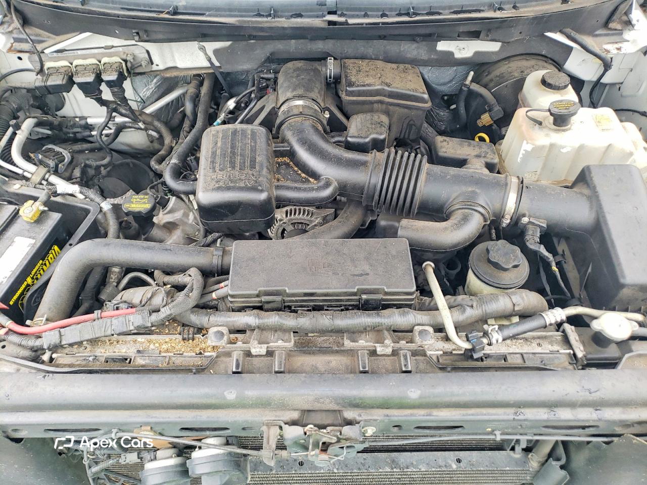 Ford F-150 2010