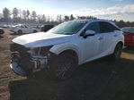 Lexus RX 2023