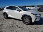 Lexus NX 2020