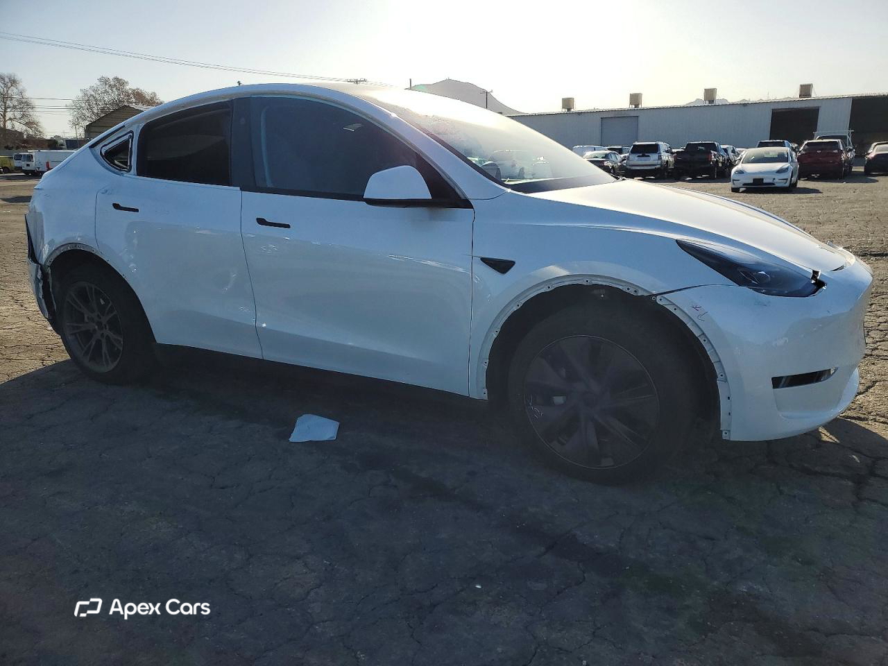 Tesla Model Y 2024
